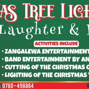 Christmas Tree Lighting 2021