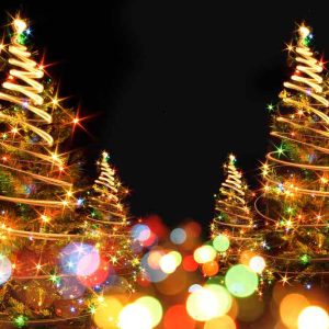 Christmas Day