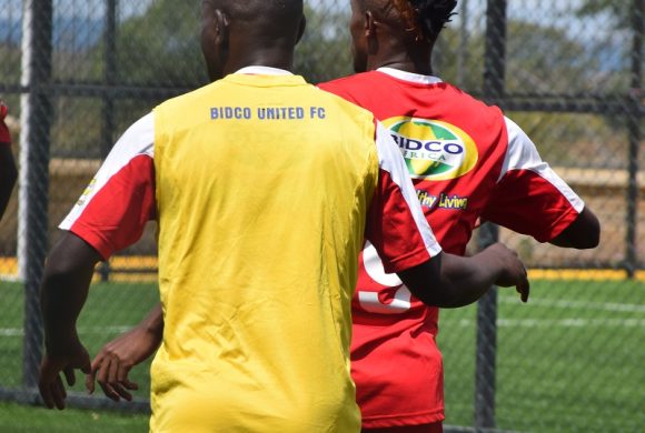 Launch of Ananas Football Turf